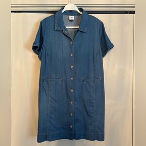 CAbi Light Blue Denim Shirt Piece of Cake Dress